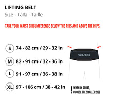 Load image into Gallery viewer, VELITES LIFTING BELT