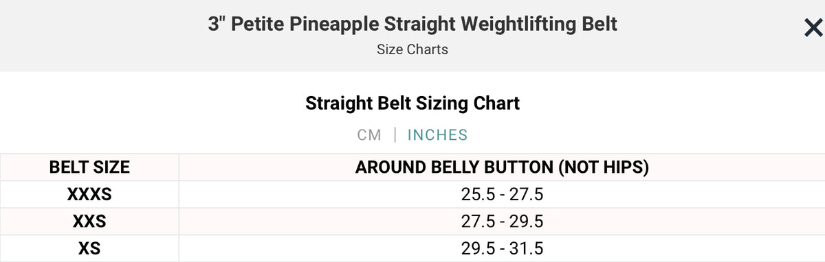 3 Petite Classy Bling Rose Gold Weightlifting Belt - 2POOD