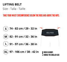 Load image into Gallery viewer, VELITES LIFTING BELT
